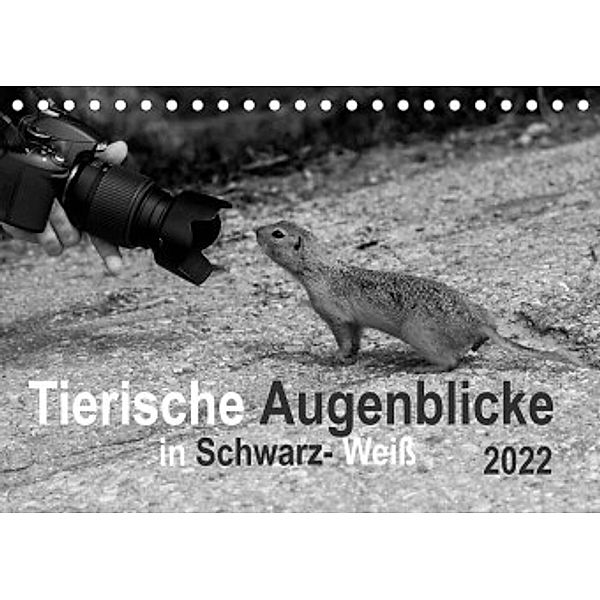 Tierische Augenblicke in Schwarz-Weiß (Tischkalender 2022 DIN A5 quer), Marianne Drews