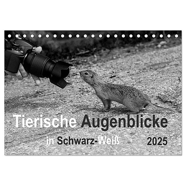 Tierische Augenblicke in Schwarz-Weiss (Tischkalender 2025 DIN A5 quer), CALVENDO Monatskalender, Calvendo, Marianne Drews