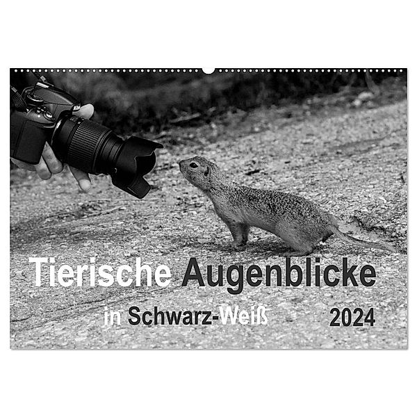 Tierische Augenblicke in Schwarz-Weiss (Wandkalender 2024 DIN A2 quer), CALVENDO Monatskalender, Marianne Drews