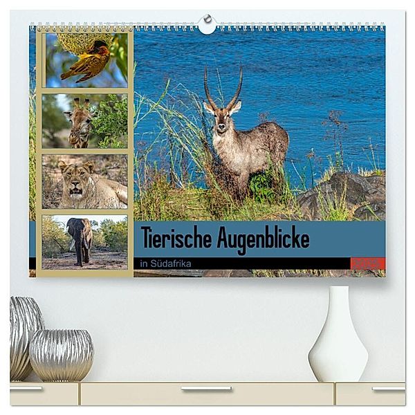 Tierische Augenblicke in Südafrika (hochwertiger Premium Wandkalender 2025 DIN A2 quer), Kunstdruck in Hochglanz, Calvendo, Norbert W. Saul