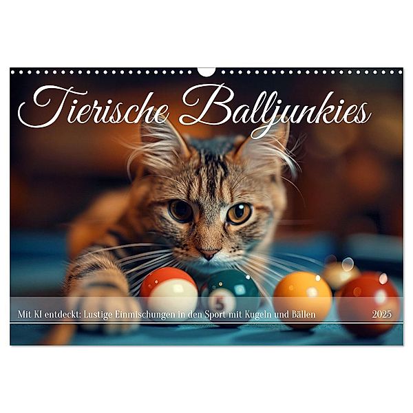 Tierische Balljunkies (Wandkalender 2025 DIN A3 quer), CALVENDO Monatskalender, Calvendo, Kerstin Waurick