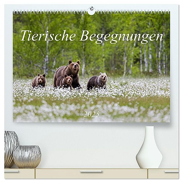 Tierische Begegnungen (hochwertiger Premium Wandkalender 2025 DIN A2 quer), Kunstdruck in Hochglanz, Calvendo, Daniela Beyer (Moqui)