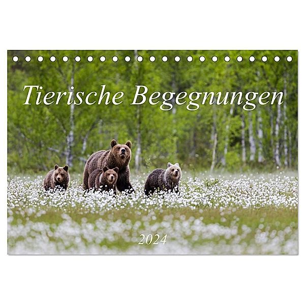 Tierische Begegnungen (Tischkalender 2024 DIN A5 quer), CALVENDO Monatskalender, Daniela Beyer (Moqui)