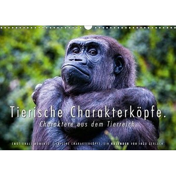 Tierische Charakterköpfe (Wandkalender 2020 DIN A3 quer), Ingo Gerlach