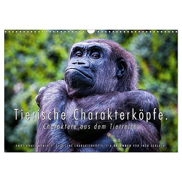 Tierische Charakterköpfe (Wandkalender 2024 DIN A3 quer), CALVENDO Monatskalender, Ingo Gerlach