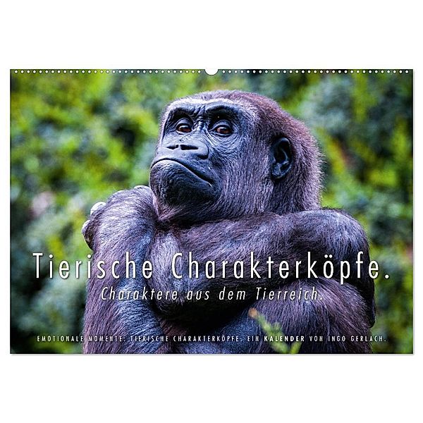 Tierische Charakterköpfe (Wandkalender 2025 DIN A2 quer), CALVENDO Monatskalender, Calvendo, Ingo Gerlach