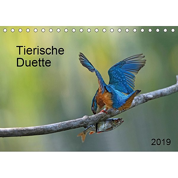 Tierische Duette (Tischkalender 2019 DIN A5 quer), Dorothea Oldani