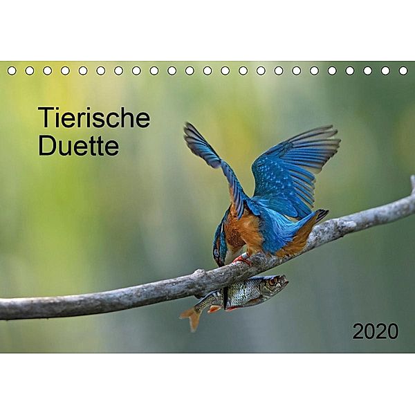 Tierische Duette (Tischkalender 2020 DIN A5 quer), Dorothea Oldani
