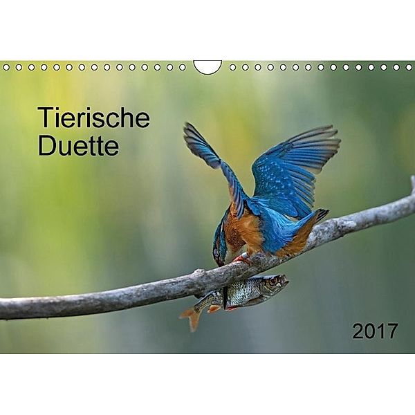 Tierische Duette (Wandkalender 2017 DIN A4 quer), Dorothea Oldani