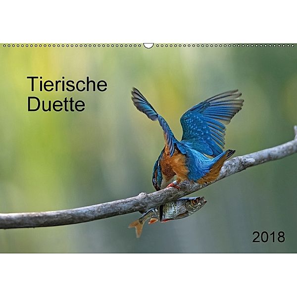 Tierische Duette (Wandkalender 2018 DIN A2 quer) Dieser erfolgreiche Kalender wurde dieses Jahr mit gleichen Bildern und, Dorothea Oldani