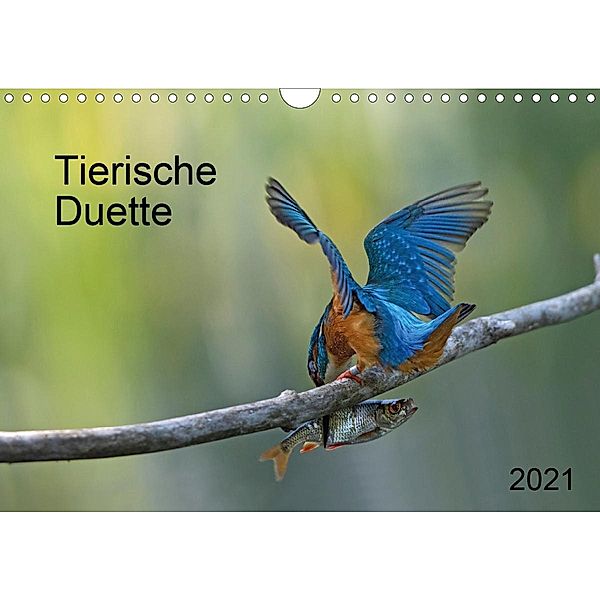 Tierische Duette (Wandkalender 2021 DIN A4 quer), Dorothea Oldani