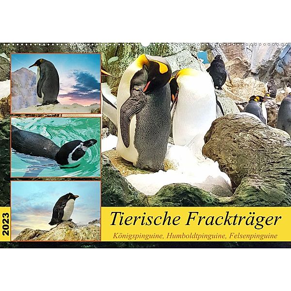 Tierische Frackträger (Wandkalender 2023 DIN A2 quer), Claudia Kleemann