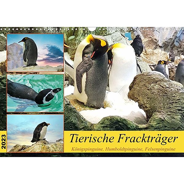 Tierische Frackträger (Wandkalender 2023 DIN A3 quer), Claudia Kleemann