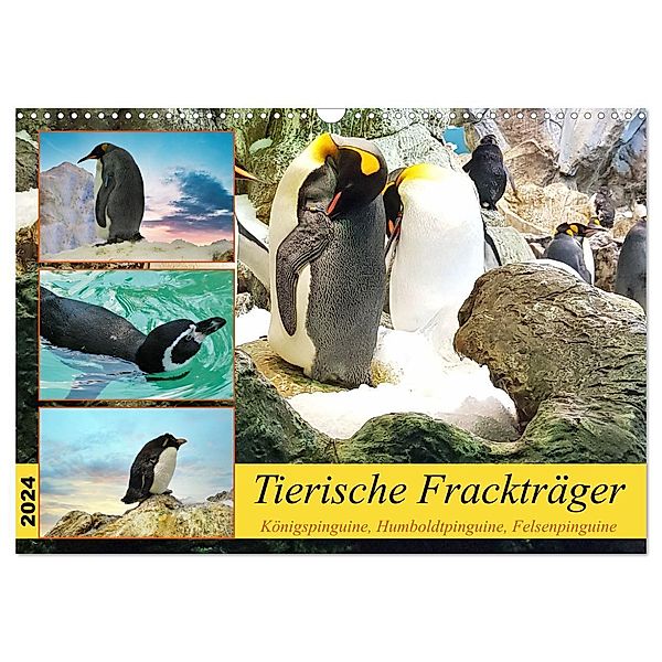 Tierische Frackträger (Wandkalender 2024 DIN A3 quer), CALVENDO Monatskalender, Claudia Kleemann