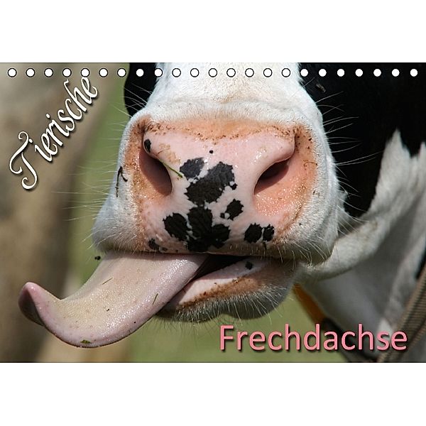 Tierische Frechdachse (Tischkalender 2014 DIN A5 quer), Martina Berg