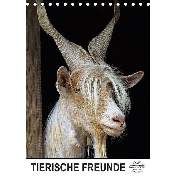 Tierische Freunde (Tischkalender 2017 DIN A5 hoch), Angela Dölling