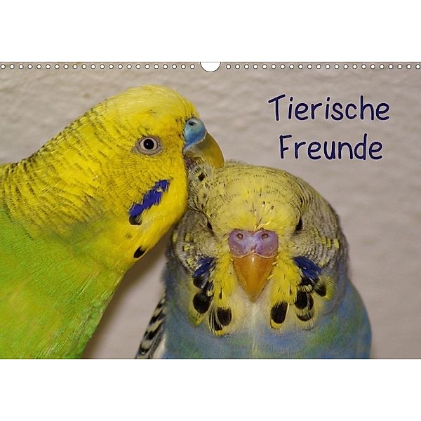 Tierische Freunde (Wandkalender 2014 DIN A3 quer), kattobello