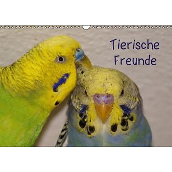 Tierische Freunde (Wandkalender 2015 DIN A3 quer), kattobello