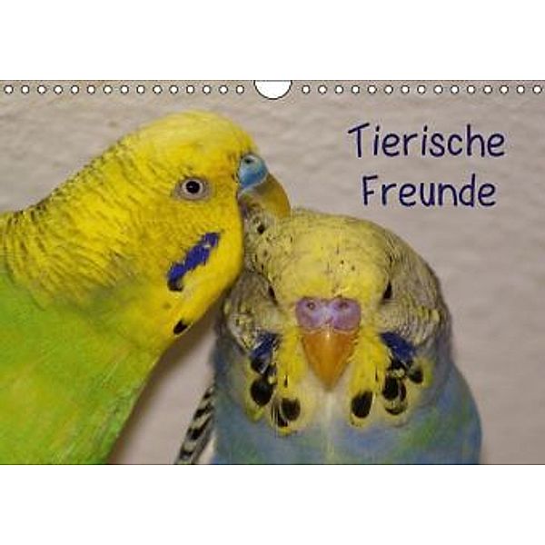 Tierische Freunde (Wandkalender 2015 DIN A4 quer), kattobello