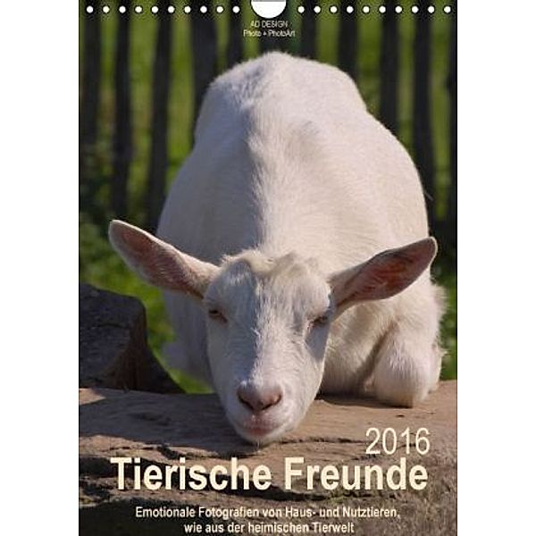 Tierische Freunde (Wandkalender 2016 DIN A4 hoch), Angela Dölling