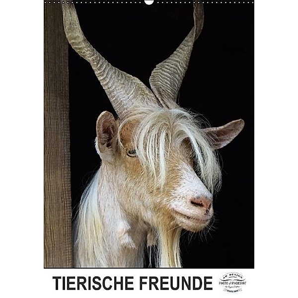 Tierische Freunde (Wandkalender 2017 DIN A2 hoch), Angela Dölling