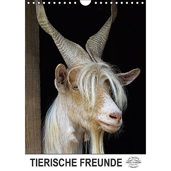 Tierische Freunde (Wandkalender 2017 DIN A4 hoch), Angela Dölling