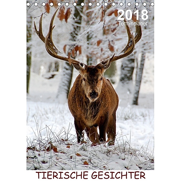 Tierische Gesichter / Planer (Tischkalender 2018 DIN A5 hoch), Sigrun Düll