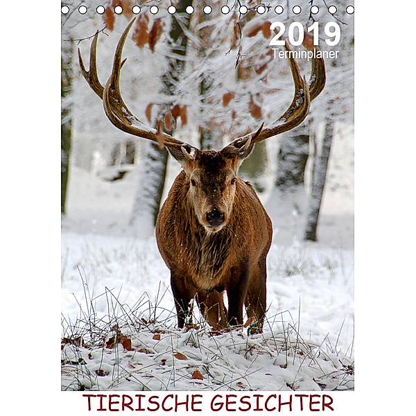 Tierische Gesichter / Planer (Tischkalender 2019 DIN A5 hoch), Sigrun Düll