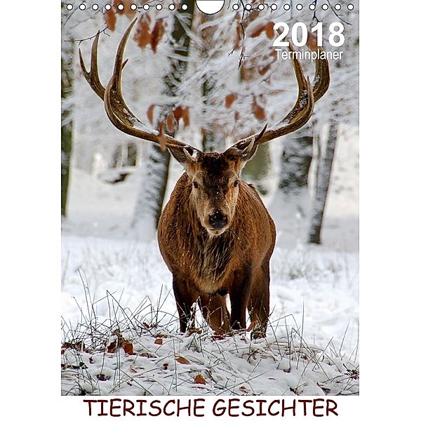 Tierische Gesichter / Planer (Wandkalender 2018 DIN A4 hoch), Sigrun Düll