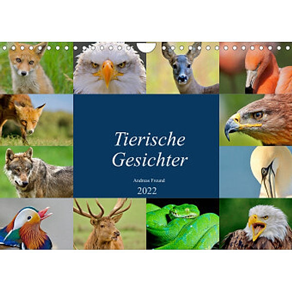 Tierische Gesichter (Wandkalender 2022 DIN A4 quer), Andreas"aFriend" Freund