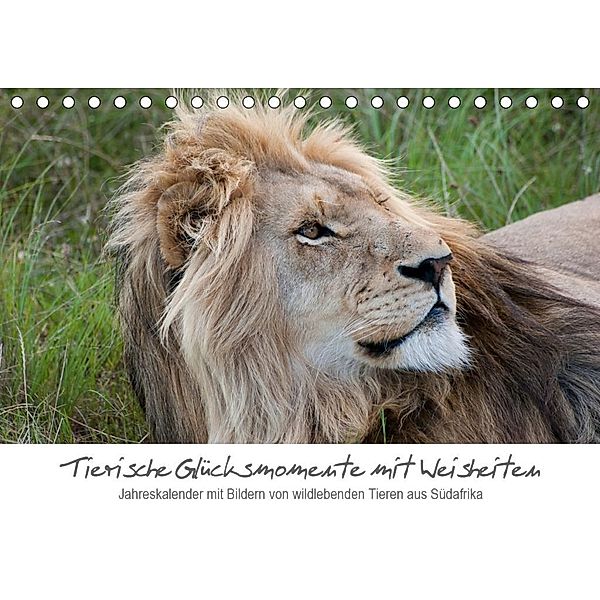 Tierische Glücksmomente mit Weisheiten (Tischkalender 2020 DIN A5 quer), Corinna Bolkart