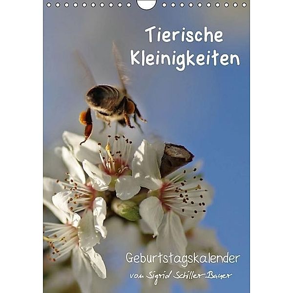Tierische Kleinigkeiten / Geburtstagskalender (Wandkalender immerwährend DIN A4 hoch), Sigrid Schiller-Bauer