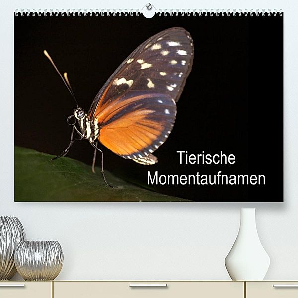 Tierische Momentaufnahmen (Premium, hochwertiger DIN A2 Wandkalender 2023, Kunstdruck in Hochglanz), Conny Krakowski
