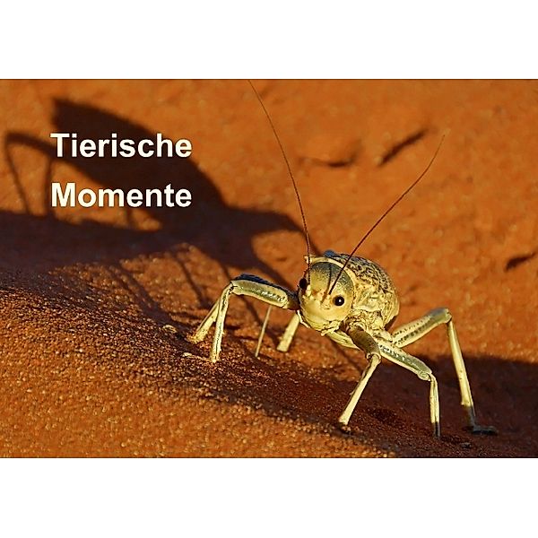 Tierische Momente (Tischaufsteller DIN A5 quer), Gerald Wolf