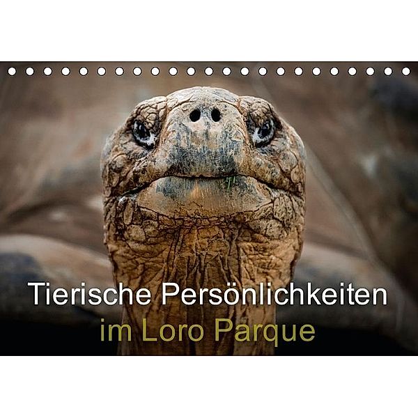 Tierische Persönlichkeiten im Loro Parque (Tischkalender 2017 DIN A5 quer), Ulrich Brodde
