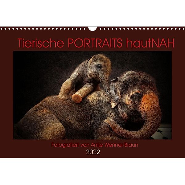 Tierische PORTRAITS hautNAH (Wandkalender 2022 DIN A3 quer), Antje Wenner-Braun