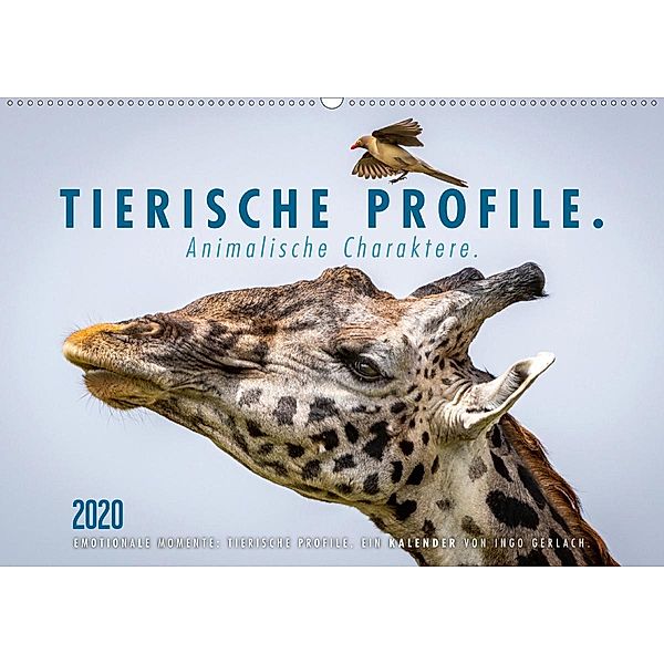 Tierische Profile (Wandkalender 2020 DIN A2 quer), Ingo Gerlach