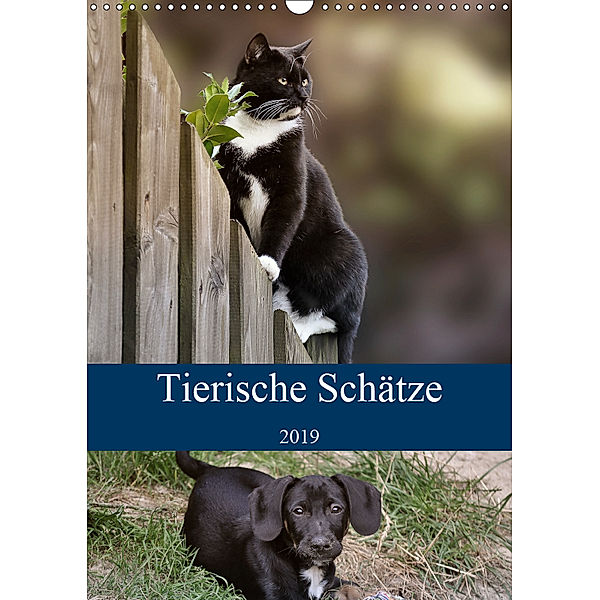 Tierische Schätze (Wandkalender 2019 DIN A3 hoch), Doris Metternich