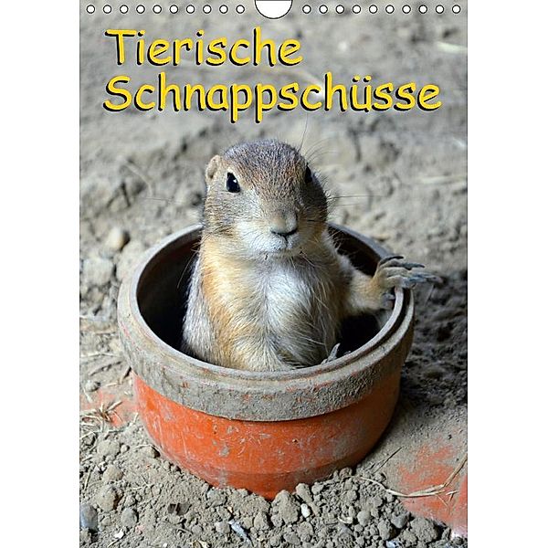 Tierische Schnappsch?sse (Wandkalender 2019 DIN A4 hoch), Miriam Kaina