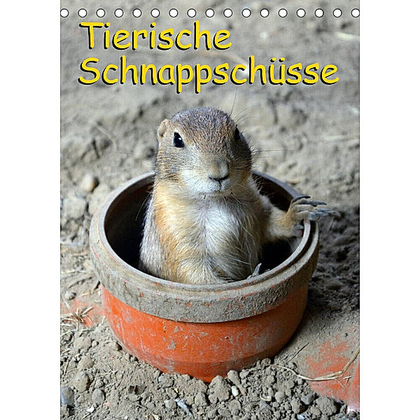 Tierische Schnappschüsse (Tischkalender 2023 DIN A5 hoch), Miriam Kaina