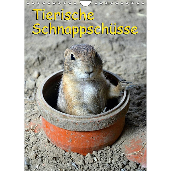 Tierische Schnappschüsse (Wandkalender 2023 DIN A4 hoch), Miriam Kaina