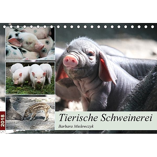 Tierische Schweinerei (Tischkalender 2018 DIN A5 quer), Barbara Mielewczyk