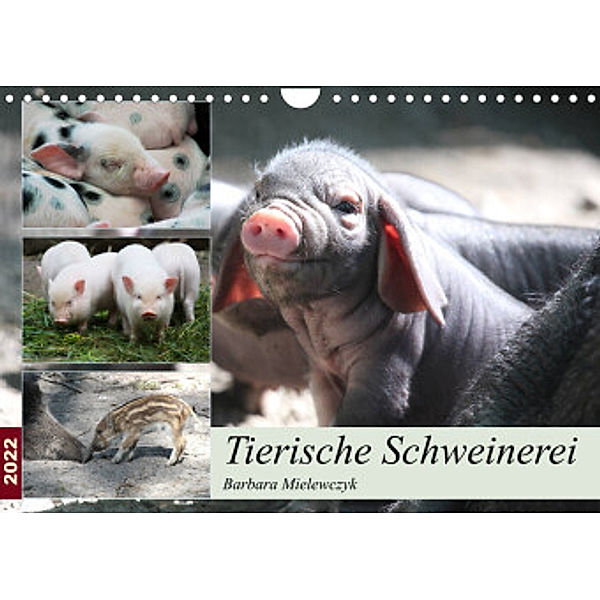 Tierische Schweinerei (Wandkalender 2022 DIN A4 quer), Barbara Mielewczyk