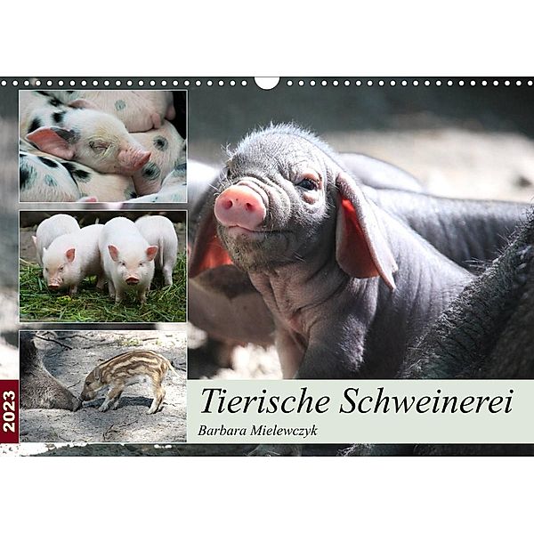 Tierische Schweinerei (Wandkalender 2023 DIN A3 quer), Barbara Mielewczyk