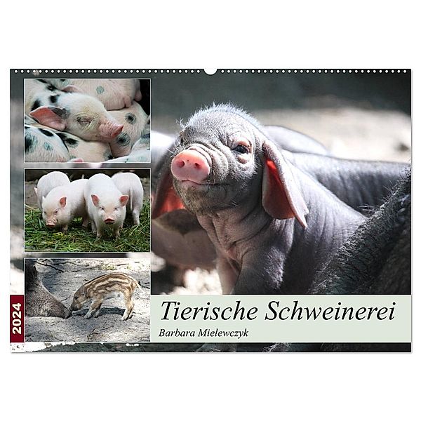 Tierische Schweinerei (Wandkalender 2024 DIN A2 quer), CALVENDO Monatskalender, Barbara Mielewczyk