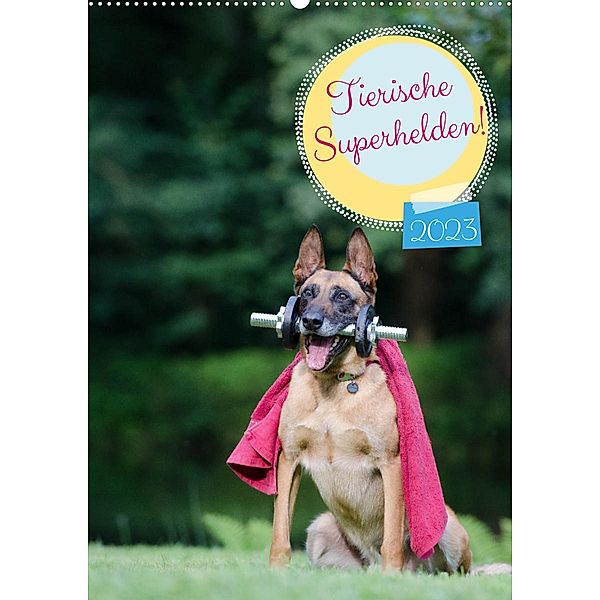 Tierische Superhelden (Wandkalender 2023 DIN A2 hoch), Katrin Bellyeu