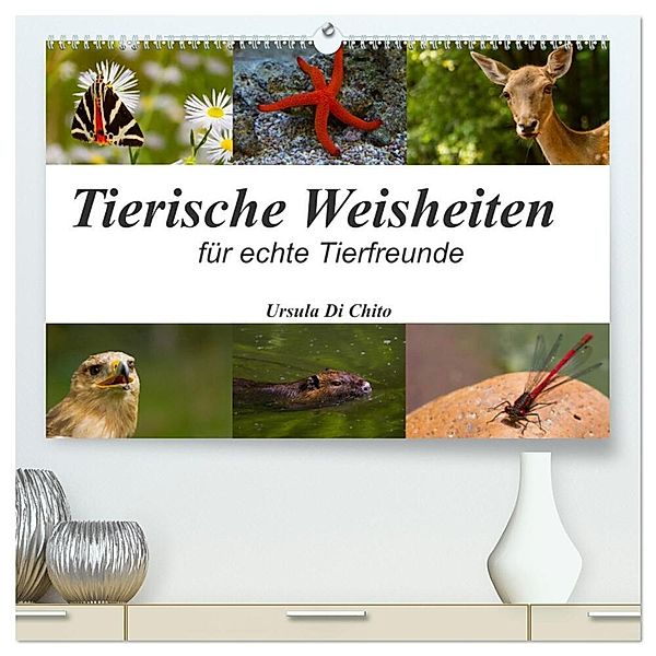 Tierische Weisheiten (hochwertiger Premium Wandkalender 2024 DIN A2 quer), Kunstdruck in Hochglanz, Ursula Di Chito