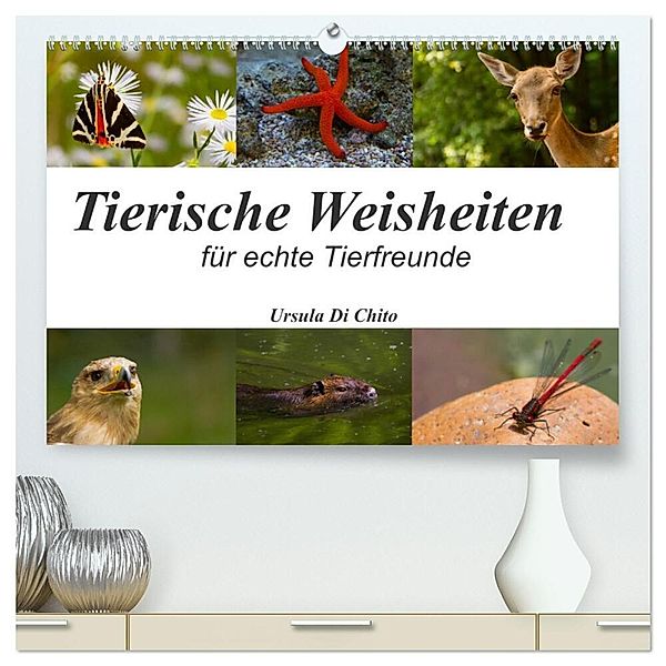 Tierische Weisheiten (hochwertiger Premium Wandkalender 2025 DIN A2 quer), Kunstdruck in Hochglanz, Calvendo, Ursula Di Chito