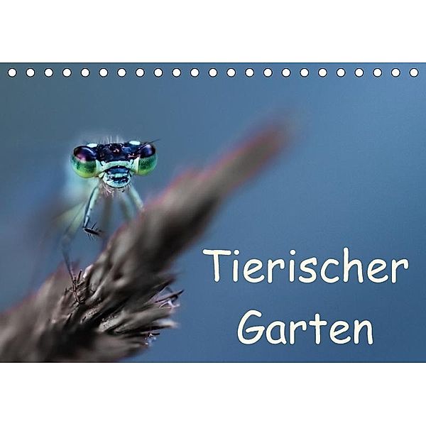 Tierischer Garten (Tischkalender 2017 DIN A5 quer), Andrea Mayer