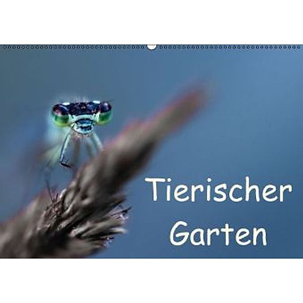 Tierischer Garten (Wandkalender 2016 DIN A2 quer), Andrea Mayer